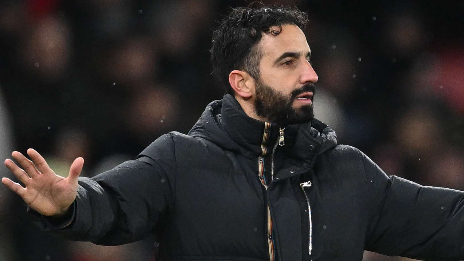 養的理念上 養的理念上