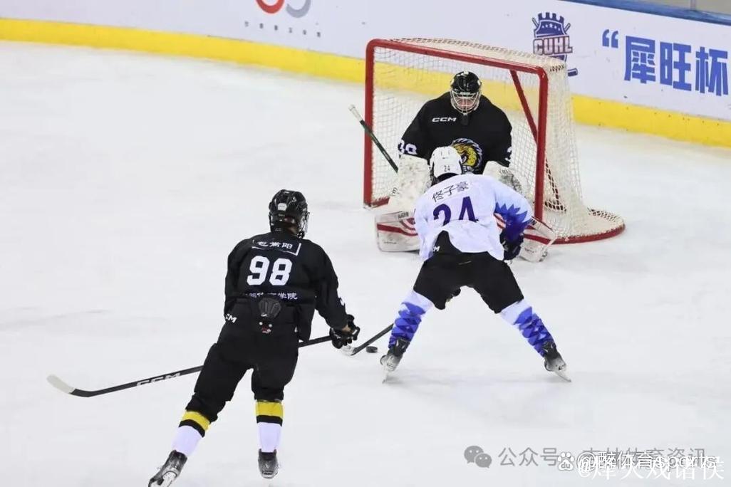 第6届全国大学生冰球联赛总决赛收官